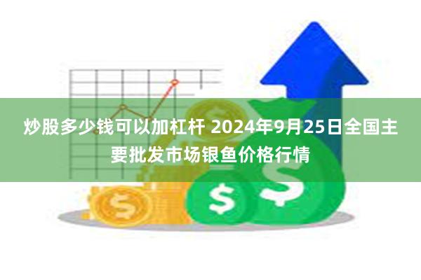 炒股多少钱可以加杠杆 2024年9月25日全国主要批发市场银鱼价格行情