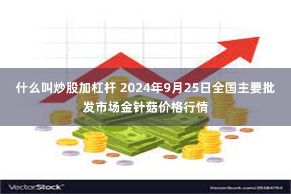 什么叫炒股加杠杆 2024年9月25日全国主要批发市场金针菇价格行情