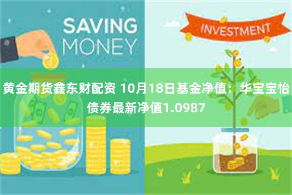 黄金期货鑫东财配资 10月18日基金净值：华宝宝怡债券最新净值1.0987