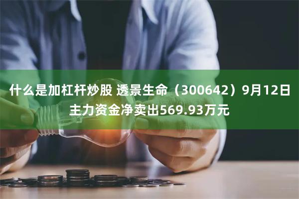 什么是加杠杆炒股 透景生命（300642）9月12日主力资金净卖出569.93万元