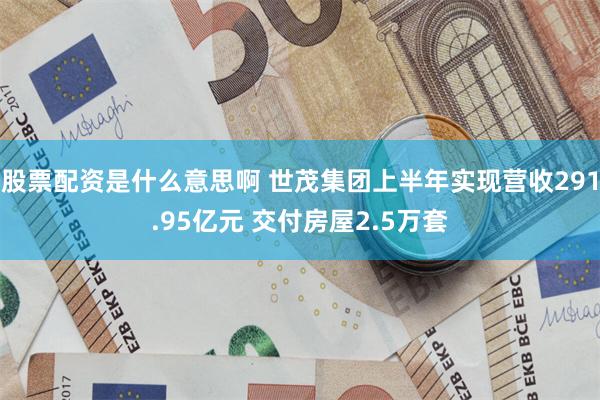 股票配资是什么意思啊 世茂集团上半年实现营收291.95亿元 交付房屋2.5万套