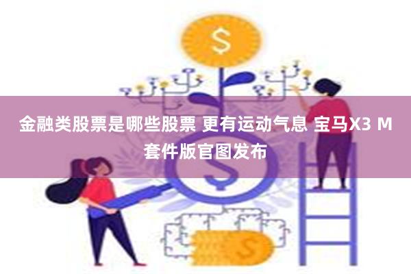 金融类股票是哪些股票 更有运动气息 宝马X3 M套件版官图发布