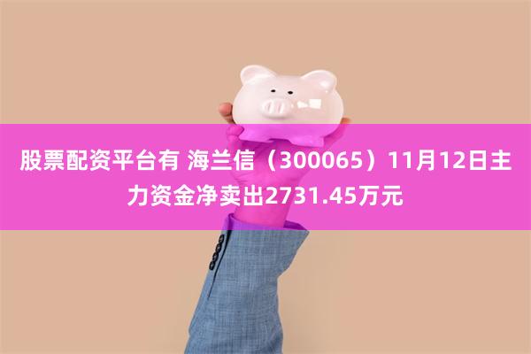 股票配资平台有 海兰信（300065）11月12日主力资金净卖出2731.45万元