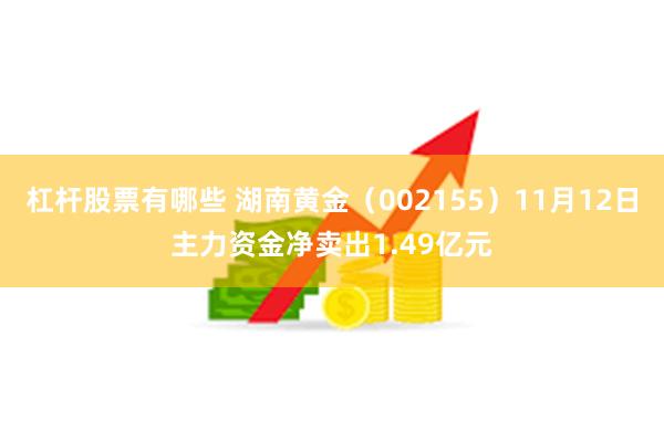 杠杆股票有哪些 湖南黄金（002155）11月12日主力资金净卖出1.49亿元