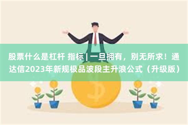 股票什么是杠杆 指标 | 一旦拥有，别无所求！通达信2023年新规极品波段主升浪公式（升级版）