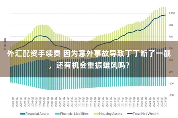 外汇配资手续费 因为意外事故导致丁丁断了一截，还有机会重振雄风吗？