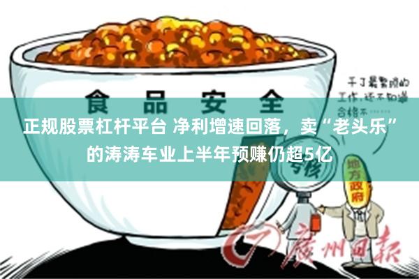 正规股票杠杆平台 净利增速回落，卖“老头乐”的涛涛车业上半年预赚仍超5亿