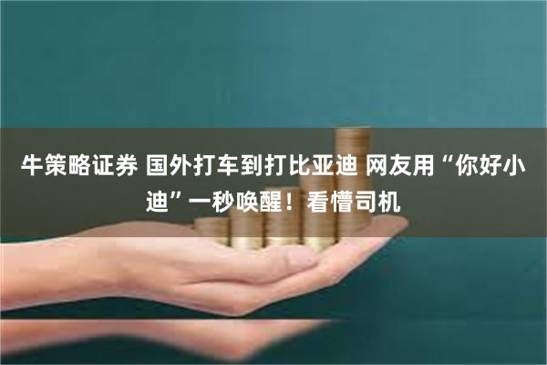 牛策略证券 国外打车到打比亚迪 网友用“你好小迪”一秒唤醒！看懵司机